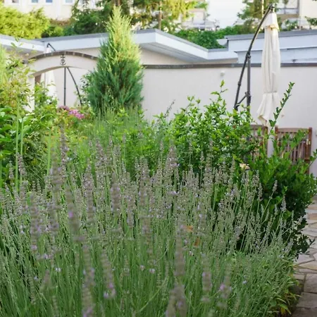 Refugium Erholung Am Zinnowitz